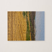 Puzzle Champs de blé après récolte (Horizontal)