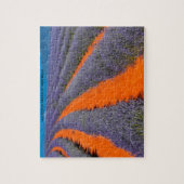 Puzzle Champs Lavendar d'Australie (Vertical)