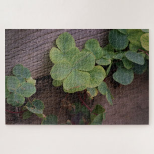 Puzzle Chanceux ou déterminé ? Shamrocks de la Saint-Patr