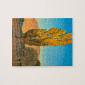 Puzzle Changement de lumière sur un peuplier par Maynard  (Horizontal)