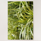 Puzzle Chanson indienne (Vertical)