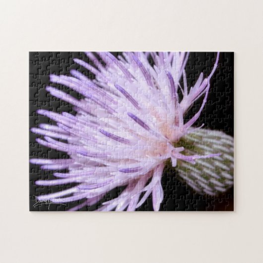 Puzzle Chardon de Nuttall en fleurs (Horizontal)