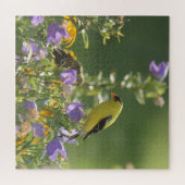 Puzzle Chardonneret sur une Fleur de Campanule (Horizontal)
