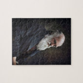 Puzzle Charles Darwin 1878 Colorisé (Horizontal)