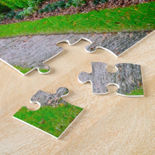 Puzzle Charleston Caroline du Sud. (Côté)