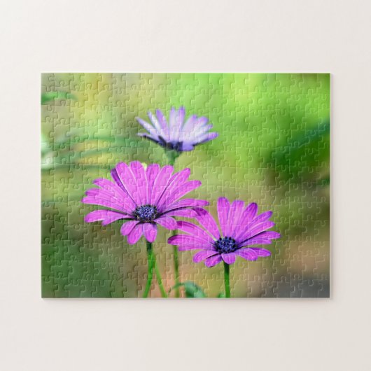 Puzzle charme des fleurs (Horizontal)