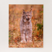 Puzzle Chasse Bobcat | Forêt d'automne (Vertical)