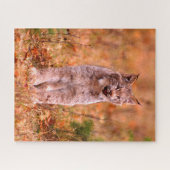 Puzzle Chasse Bobcat | Forêt d'automne (Horizontal)