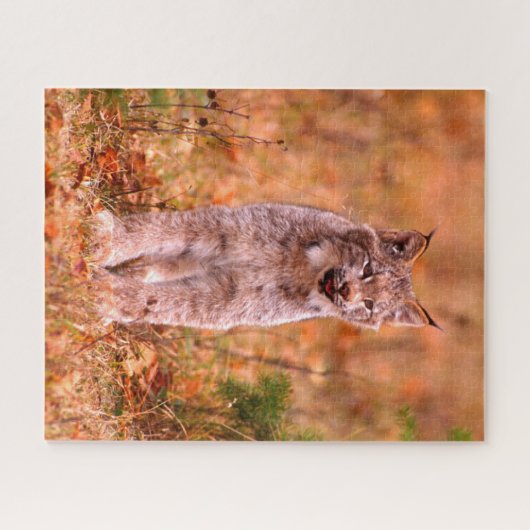 Puzzle Chasse Bobcat | Forêt d'automne (Horizontal)