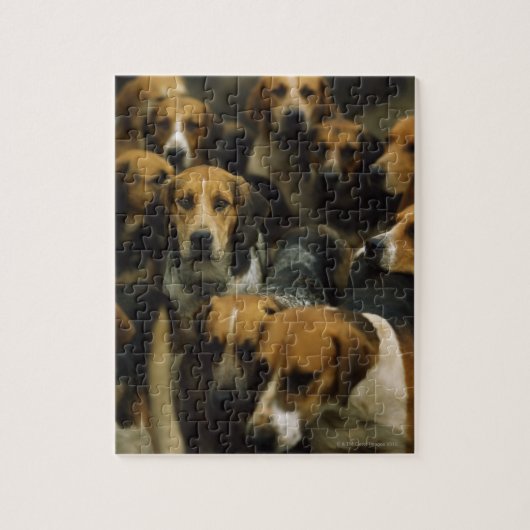 Puzzle Chasse de foxhounds, Galway Blazers, Irlande (Vertical)