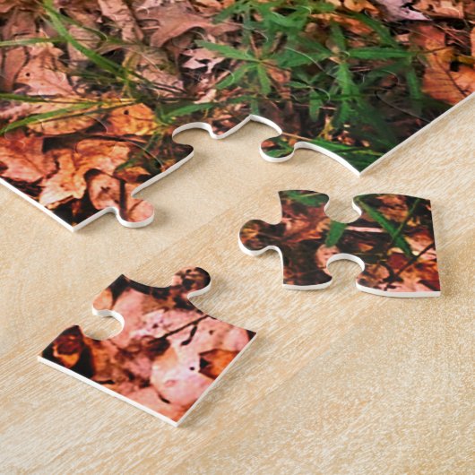 Puzzle Chasse Morel du printemps (Côté)