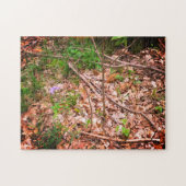 Puzzle Chasse Morel du printemps (Horizontal)
