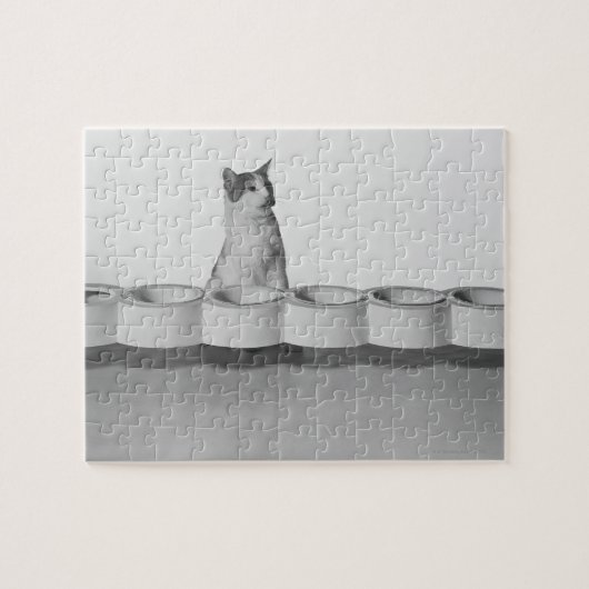 Puzzle Chat assis et lécher à côté du bol d'animal sur bl (Horizontal)
