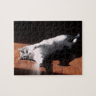 Puzzle chat au bain de soleil
