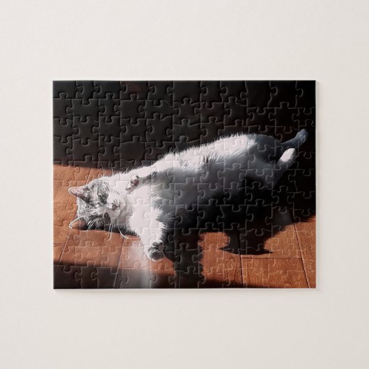 Puzzle chat au bain de soleil (Horizontal)