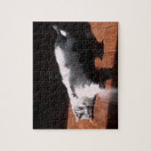 Puzzle chat au bain de soleil (Vertical)