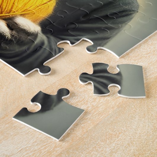 Puzzle Chat Avec Une Boule De Fer (Côté)