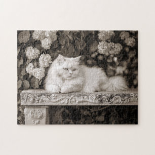 Puzzle Chat blanc dans le Jardin des Fleurs