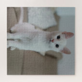 Puzzle chat blanc | Zazzle_Growshop. (Horizontal)