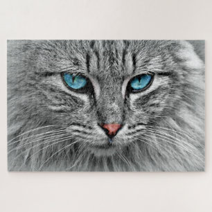 Puzzle Chat bleu -