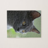 Puzzle Chat bleu russe (Horizontal)