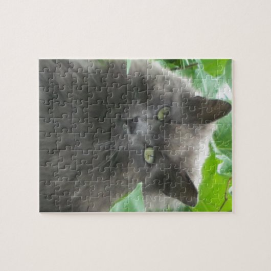 Puzzle Chat bleu russe gris-long (Horizontal)