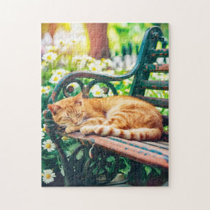 Puzzle Chat confortable dormant dans le jardin sur un ban