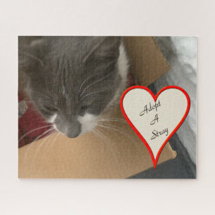 Puzzle Chat dans la boîte