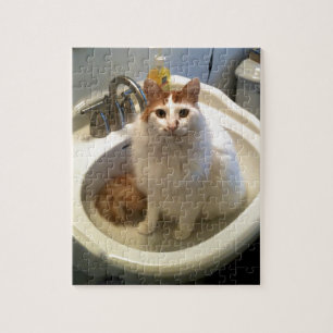 Puzzle Chat dans l'évier