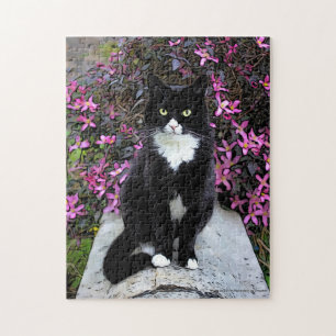 Puzzle Chat de buisson rose,