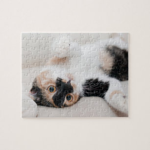 Puzzle Chat de calicot s'étendant sur le sien de retour