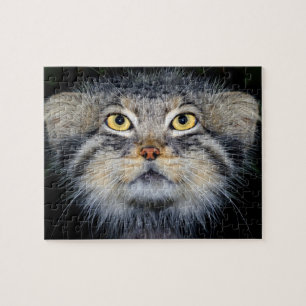 puzzle - chat de pallas