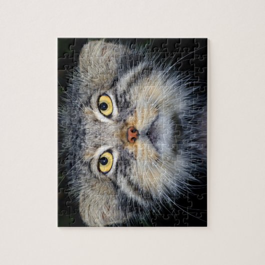 puzzle - chat de pallas (Vertical)