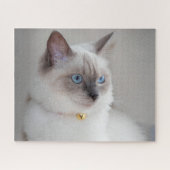 Puzzle Chat de poupée Rag (Horizontal)