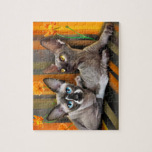 Puzzle Chat de Sphynx