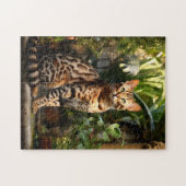 Puzzle Chat du Bengale dans le jardin (Horizontal)