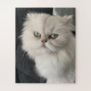 Puzzle Chat en colère drôle animal de compagnie
