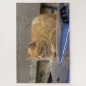 Puzzle Chat endormi (Vertical)