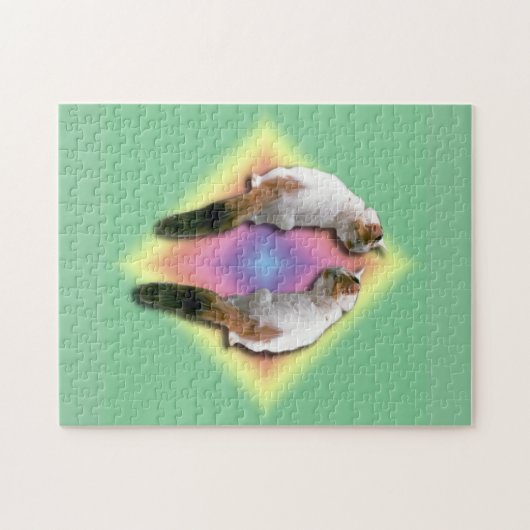 Puzzle - Chat et Rainbow Diamond (Horizontal)