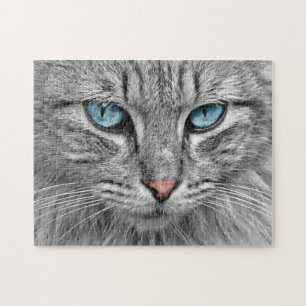 Puzzle Chat gris aux yeux bleus