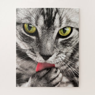 Puzzle Chat gris aux yeux jaunes qui se lèvent