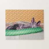 Puzzle - Chat gris avec jouet (Horizontal)