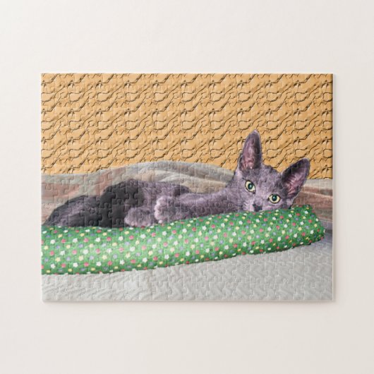 Puzzle - Chat gris avec jouet (Horizontal)
