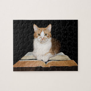 Puzzle chat Kitty