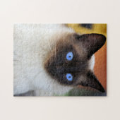 Puzzle Chat kitty siamois avec de beaux grands yeux bleus (Horizontal)