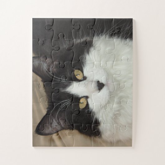 Puzzle Chat long Haired noir et blanc (Vertical)