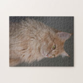 Puzzle Chat Longhair orange (Horizontal)