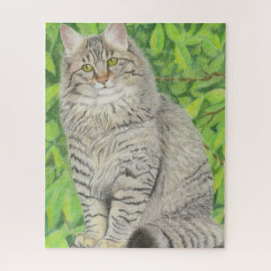 Puzzle Chat Longhair Tabby