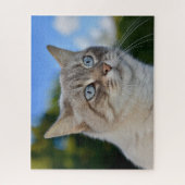 Puzzle Chat Lynx Point avec yeux bleus (Vertical)