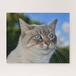 Puzzle Chat Lynx Point avec yeux bleus